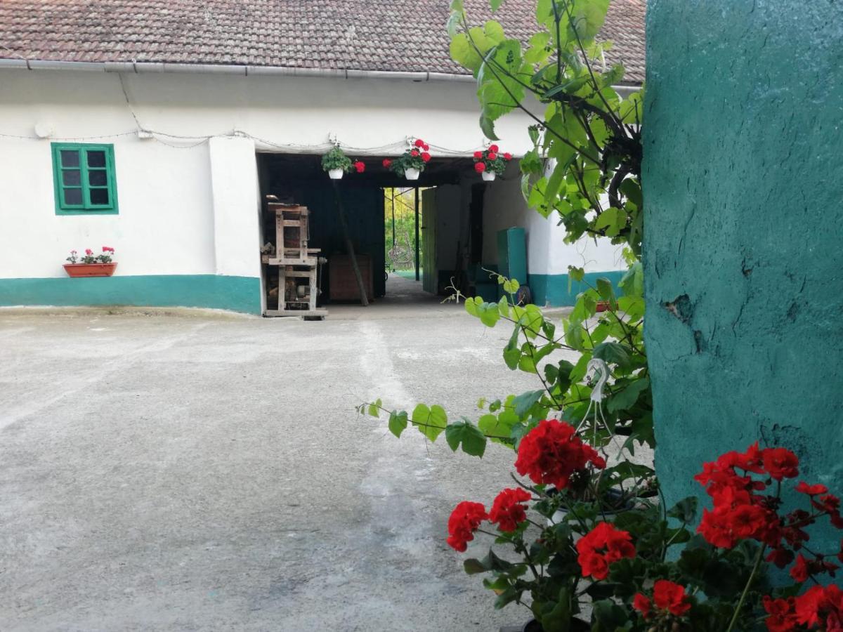Hello Nature House - Cheile Nerei, Carasului, Garlistei Giurgiova Εξωτερικό φωτογραφία