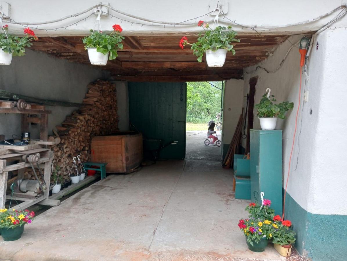 Hello Nature House - Cheile Nerei, Carasului, Garlistei Giurgiova Εξωτερικό φωτογραφία