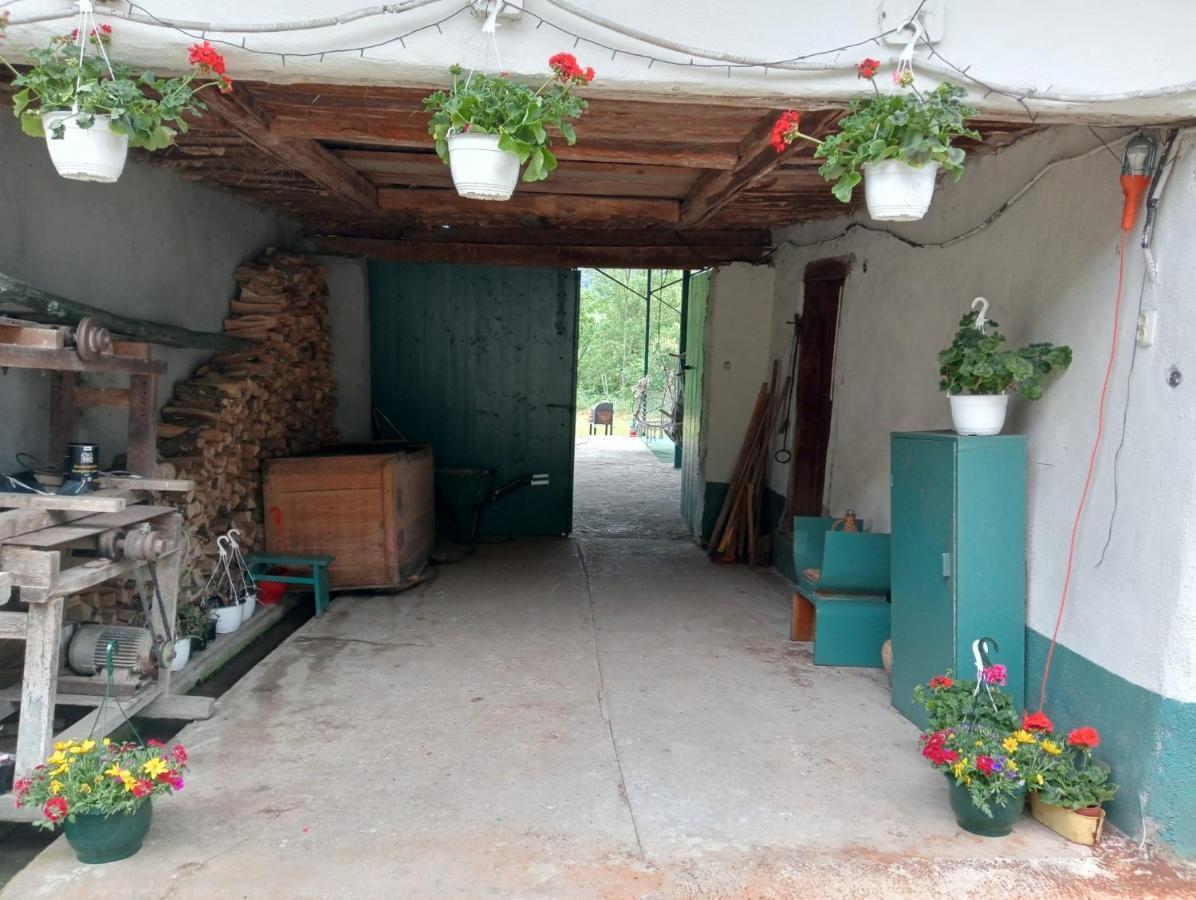 Hello Nature House - Cheile Nerei, Carasului, Garlistei Giurgiova Εξωτερικό φωτογραφία
